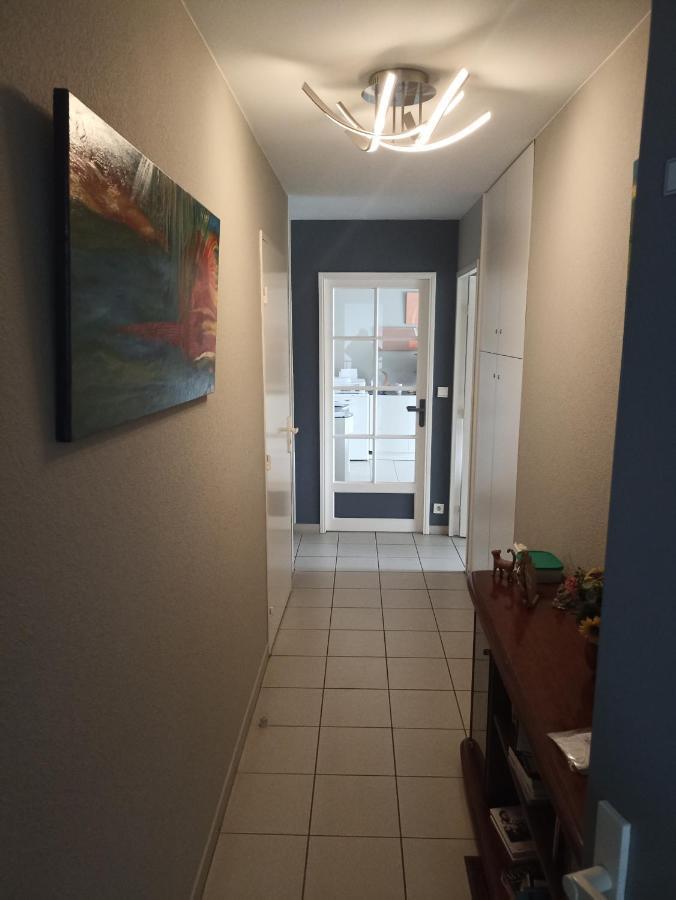 Bayonne Appartement 63M2 Avec Terrase Parking Wifi Экстерьер фото